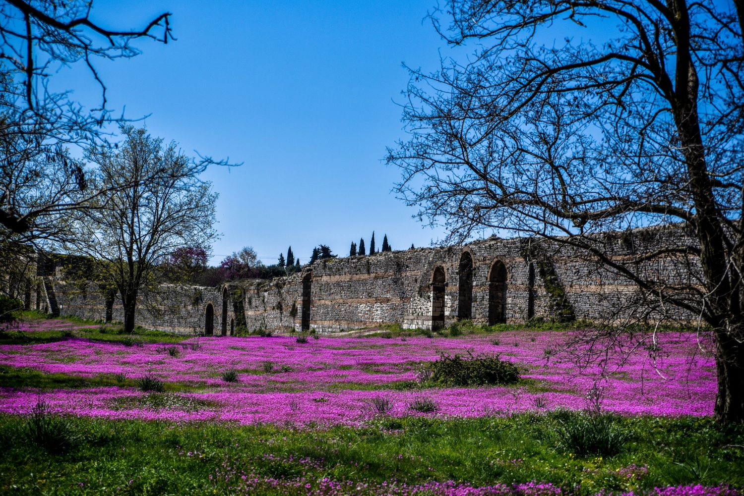 Καιρός