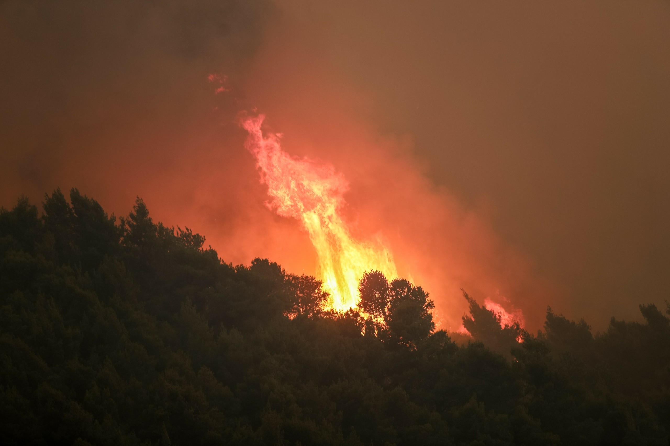 Εκτός ελέγχου η πύρινη λαίλαπα – Ολοταχώς καίει τα πάντα προς τα Μέγαρα