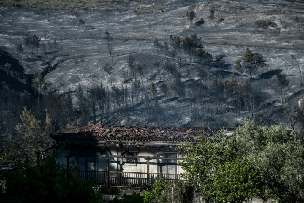 Αυτές είναι οι 6 άμεσες παρεμβάσεις στήριξης των πυροπλήκτων – Ποια οικονομικά μέτρα ανακοινώθηκαν (vid)
