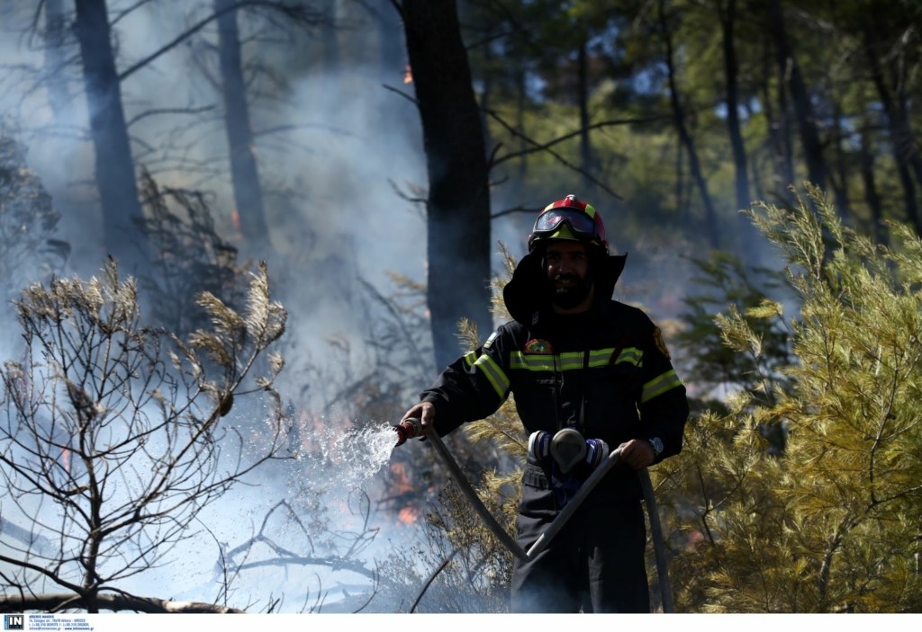 Οριοθετήθηκε η φωτιά στην περιοχή Σμέρνα της Ηλείας