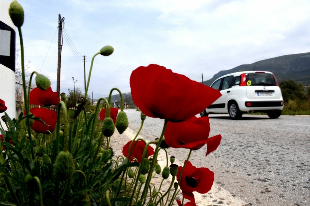 Ζέστη και… αφρικανική σκόνη για την ημέρα του Πάσχα