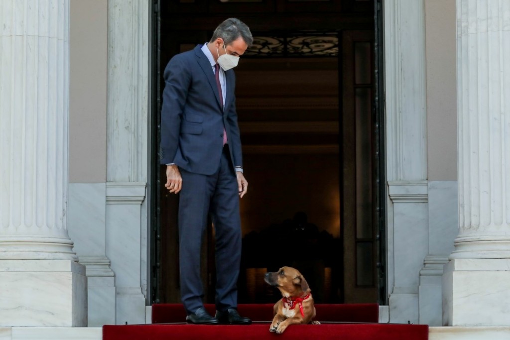 Έλιωσε στα χάδια του πρωθυπουργού ο Πίνατ (pics)