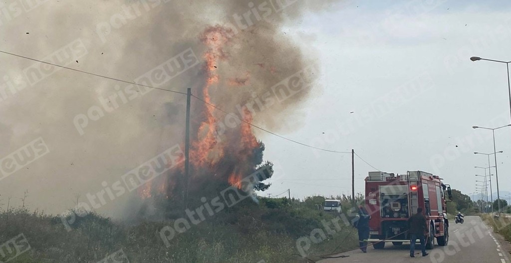 Μεγάλη φωτιά κοντά στην εθνική Πύργου-Πατρών – Απειλούνται καταστήματα (pics)