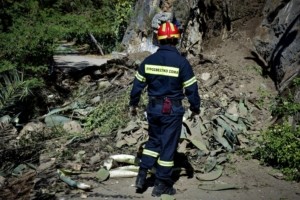 Καστοριά: Κυνηγόσκυλο έπεσε σε γκρεμό μαζί με 10 αγριογούρουνα – Μεγάλη επιχείρηση διάσωσης