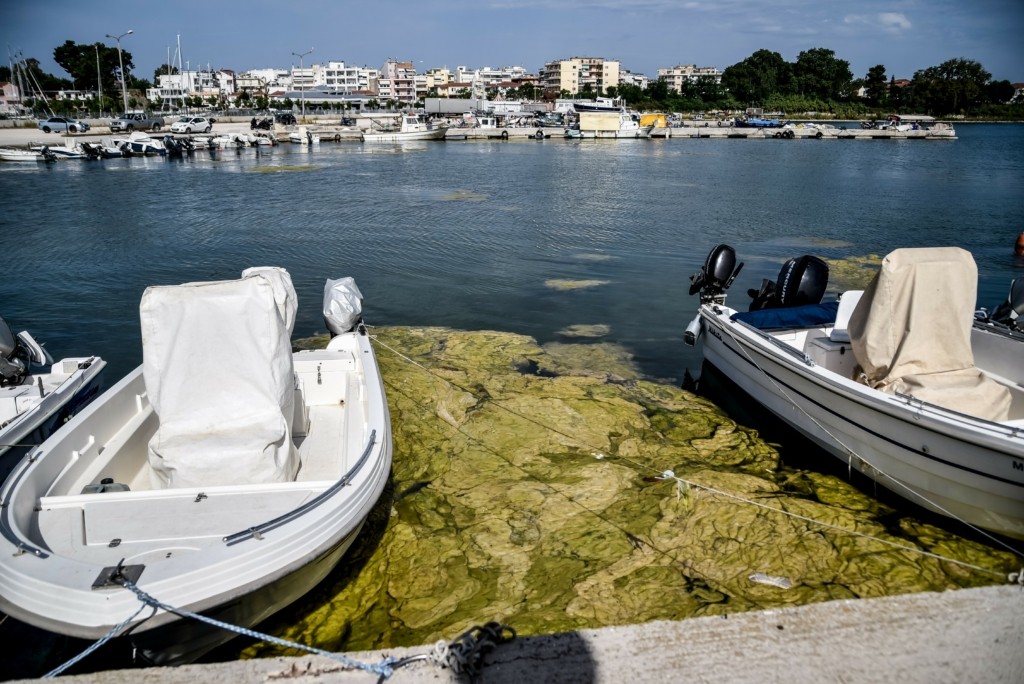 Έκρηξη φυκιών δημιουργεί ένα απόκοσμο τοπίο στην Πρέβεζα (pics)