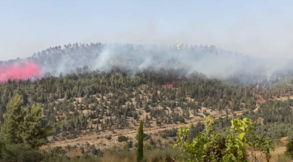 Τέθηκε υπό έλεγχο η μεγάλη πυρκαγιά κοντά στην Ιερουσαλήμ (vid)