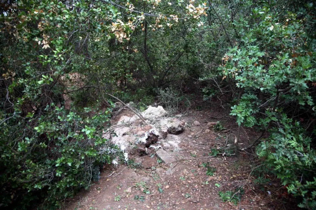 Το στυγερό έγκλημα στο πάρκο Πικιώνη – Οι αγριευτικές ομοιότητες του δράστη με τον 33χρονο πιλότο
