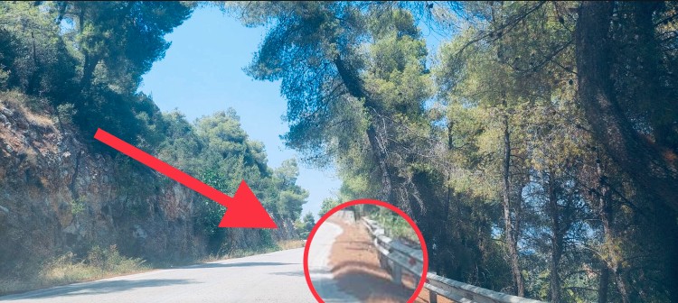 Βουνό οι πευκοβελόνες στην επαρχιακή οδό για Επίδαυρο – Τεράστιος κίνδυνος για πυρκαγιά (pics&vid)