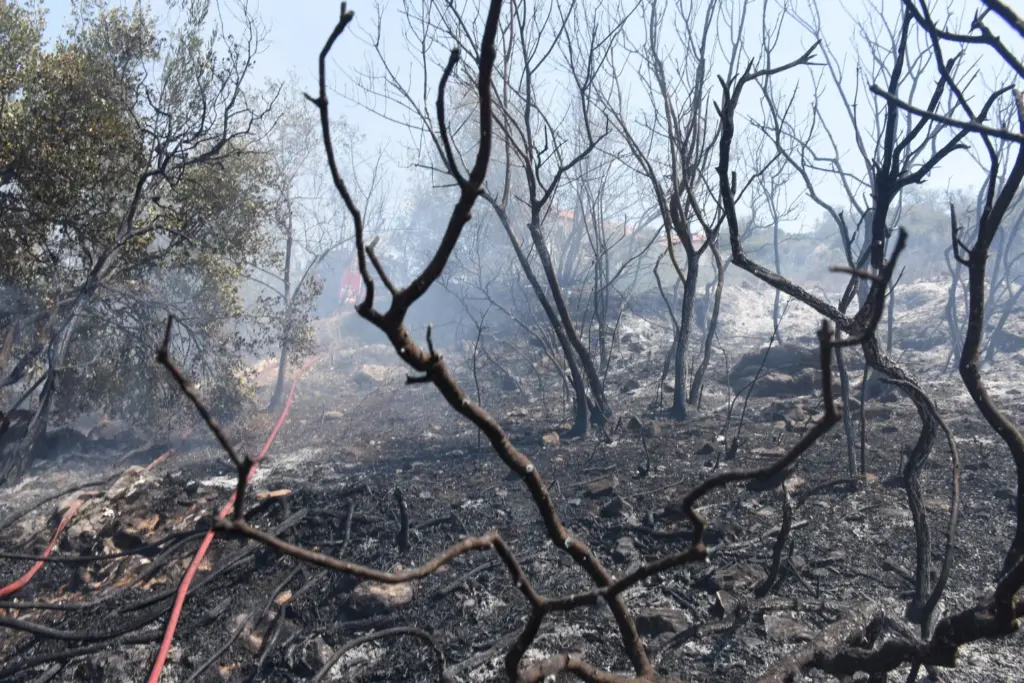 Σε εμπρησμό οφείλεται η μεγάλη φωτιά στο Ηράκλειο