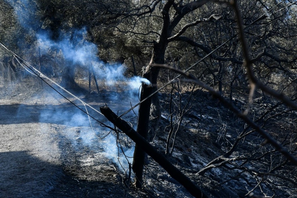 Καλύτερη η εικόνα στον προφήτη Ηλία στη Πάτρα – Παραμένει στο σημείο η πυροσβεστική (vids)