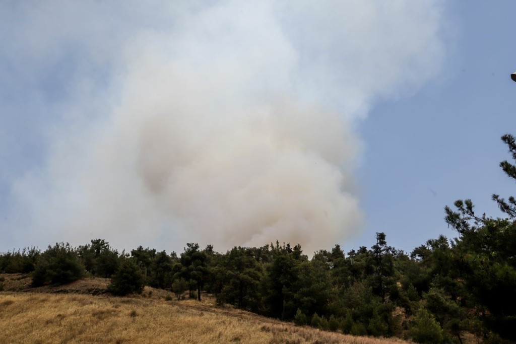 Φωτιά έχει περικυκλώσει την πόλη του Βόλου
