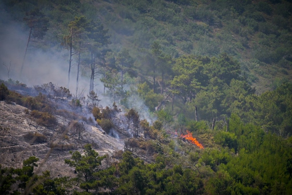 Σε 36 ανήλθαν οι δασικές πυρκαγιές το τελευταίο 24ωρο