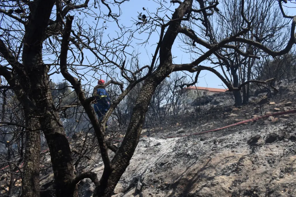 Πάνω στις στάχτες οργιάζουν οι απατεώνες για να λάβουν αποζημίωση σαν πυρόπληκτοι – 500 ΑΦΜ έκαναν αίτηση για 6 ακίνητα