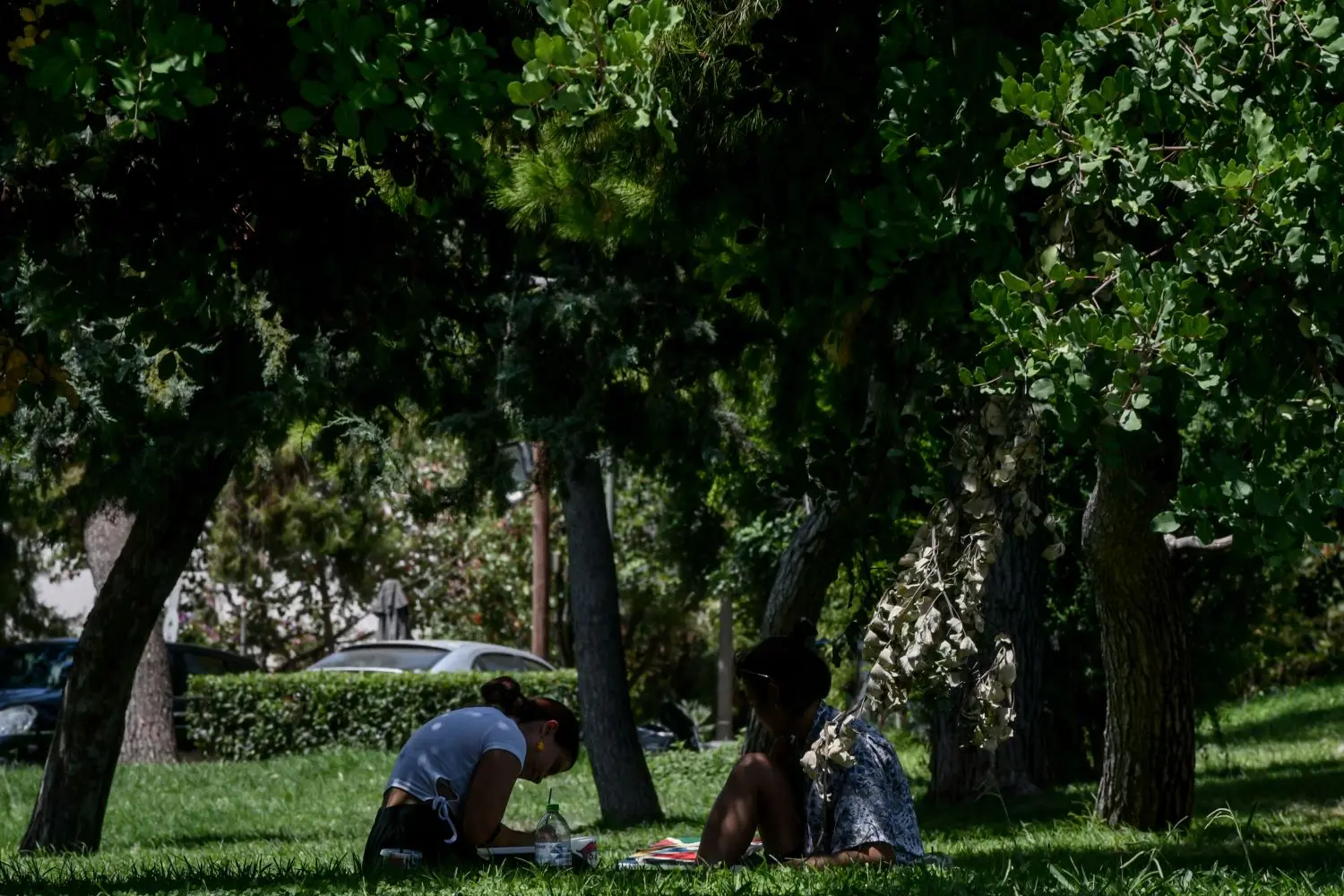 “Ανοιξιάτικος” καιρός με αύξηση της θερμοκρασίας την Τρίτη… λίγο πριν την κακοκαιρία