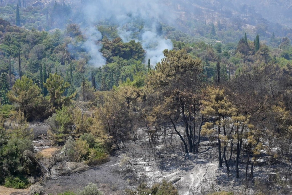 Καλύτερη η εικόνα στην Σάμο – Πάνω από 200 πυροσβέστες παραμένουν στο νησί (pics)
