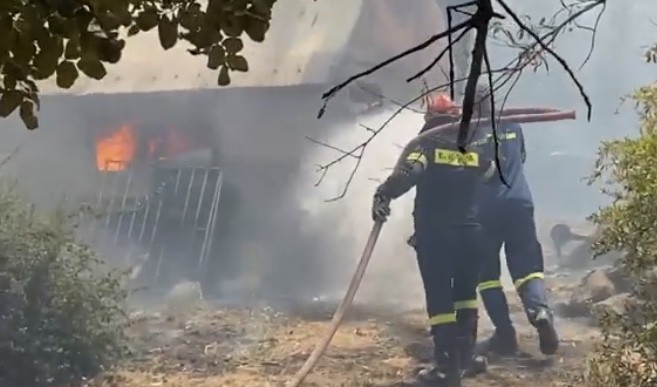Καίγονται σπίτια και αυτοκίνητα στη Σταμάτα – Εκτός ελέγχου η φωτιά – Εκκενώνονται περιοχές – Κάτοικοι τρέχουν να σωθούν (pics&vids)