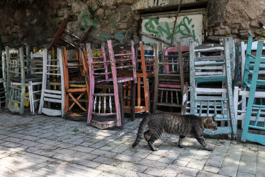 “Οι ανεμβολίαστοι έχουν γυρίσει την πλάτη στην εστίαση” – Κραυγή αγωνίας από τους ιδιοκτήτες (vid)
