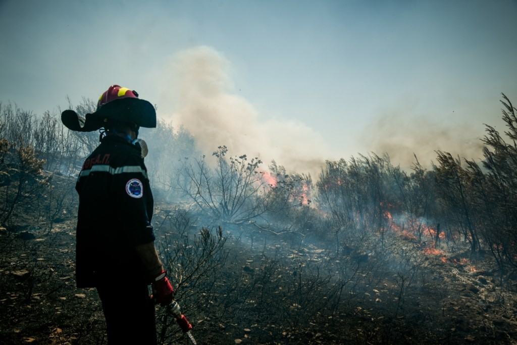 Σε ύφεση οι πυρκαγιές στη Νικήτη Χαλκιδικής και τη Νέα Ζίχνη Σερρών