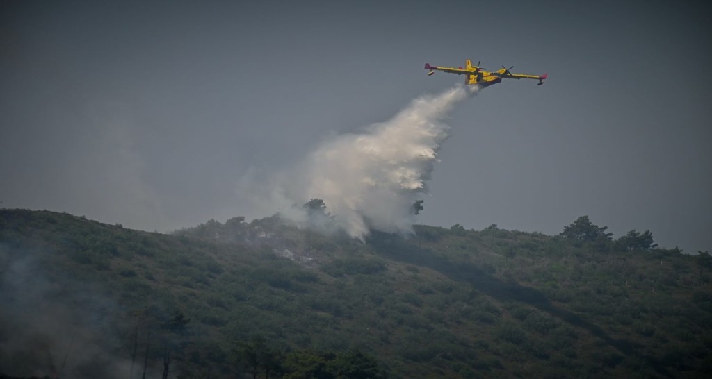 Πενήντα τρεις δασικές πυρκαγιές εκδηλώθηκαν το τελευταίο 24ωρο σε όλη την Ελλάδα