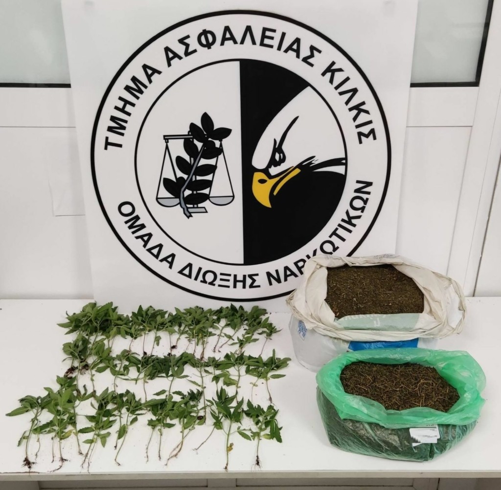 Δενδρύλλια κάνναβης και 2,5 κιλά κάνναβη εντοπίστηκαν σε σπίτι