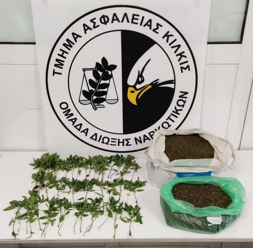 Δενδρύλλια κάνναβης και 2,5 κιλά κάνναβη εντοπίστηκαν σε σπίτι