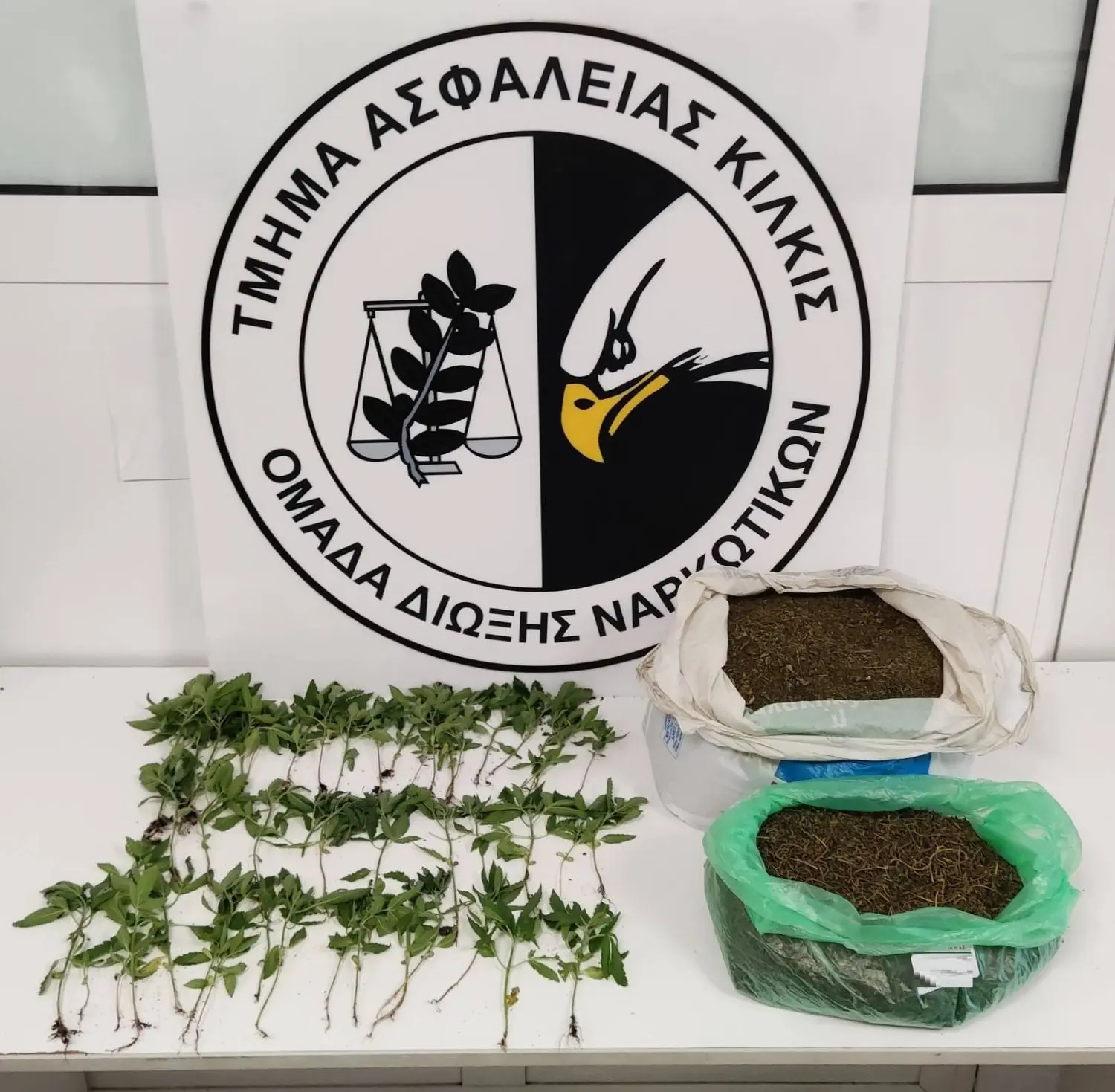 Δενδρύλλια κάνναβης και 2,5 κιλά κάνναβη εντοπίστηκαν σε σπίτι