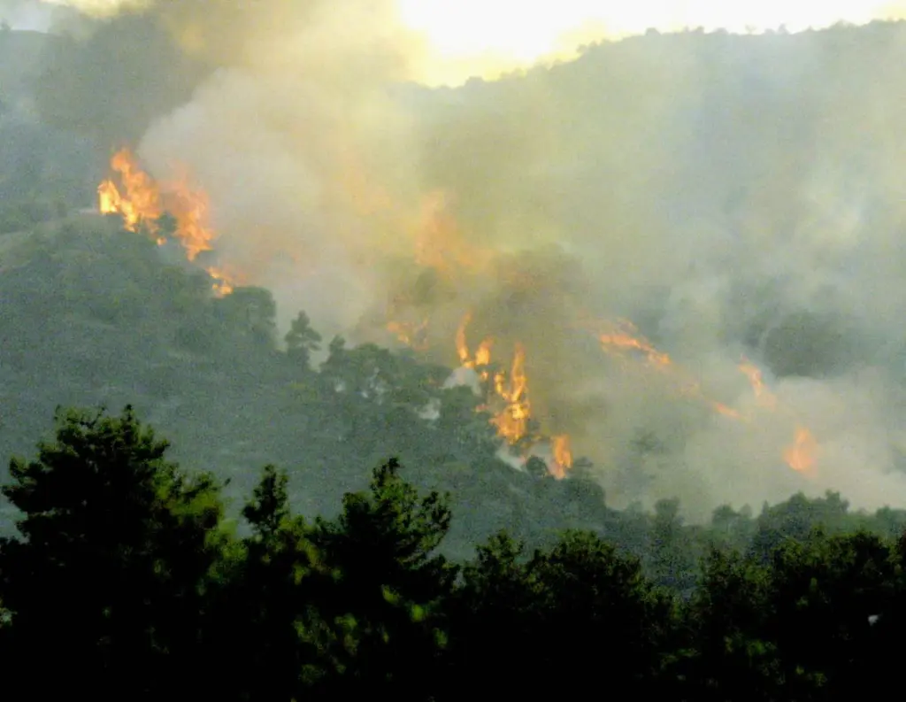 Νεκροί βρέθηκαν τέσσερις αγνοούμενοι στη μεγάλη πυρκαγιά στην Κύπρο