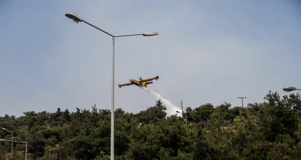 Ντοκουμέντο από το Σέιχ Σου – Άμυαλοι εγκληματίες είχαν στήσει μπάρμπεκιου μέσα στο δάσος (pic)