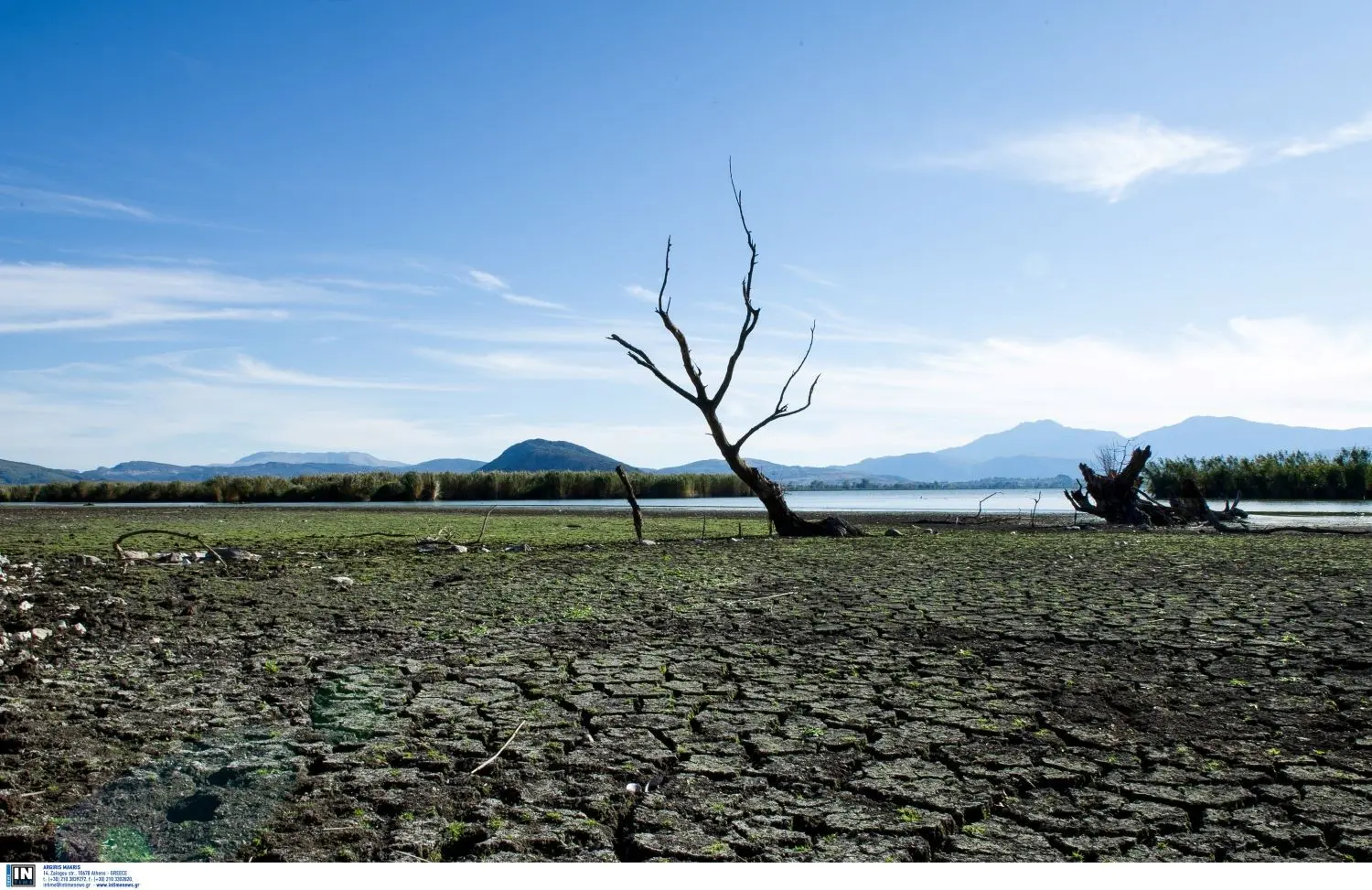 Ξηρασία και ερημοποίηση απειλούν το 40% της Ελλάδας – Πως αλλάζει τα δεδομένα η κλιματική αλλαγή (vid)