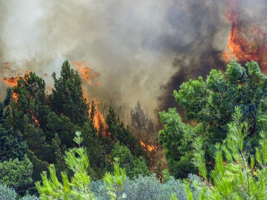 Υπόνοιες για εμπρησμό στη Ρόδο – Τα στοιχεία που δείχνουν ότι η φωτιά οφείλεται σε ανθρώπινο χέρι (pics&vid)