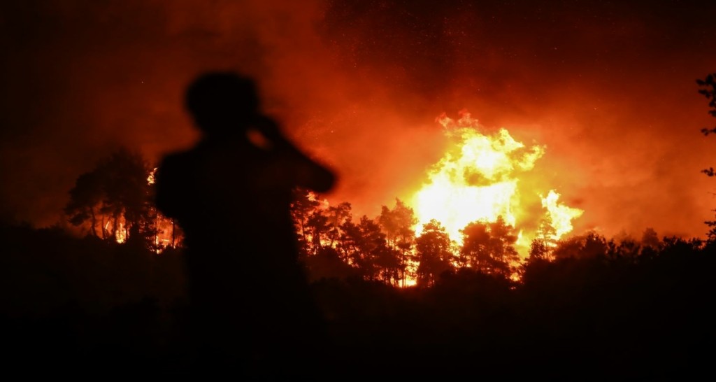 Το συγκλονιστικό σκίτσο του Αρκά για τις φωτιές που καίνε τα δέντρα! (pic)