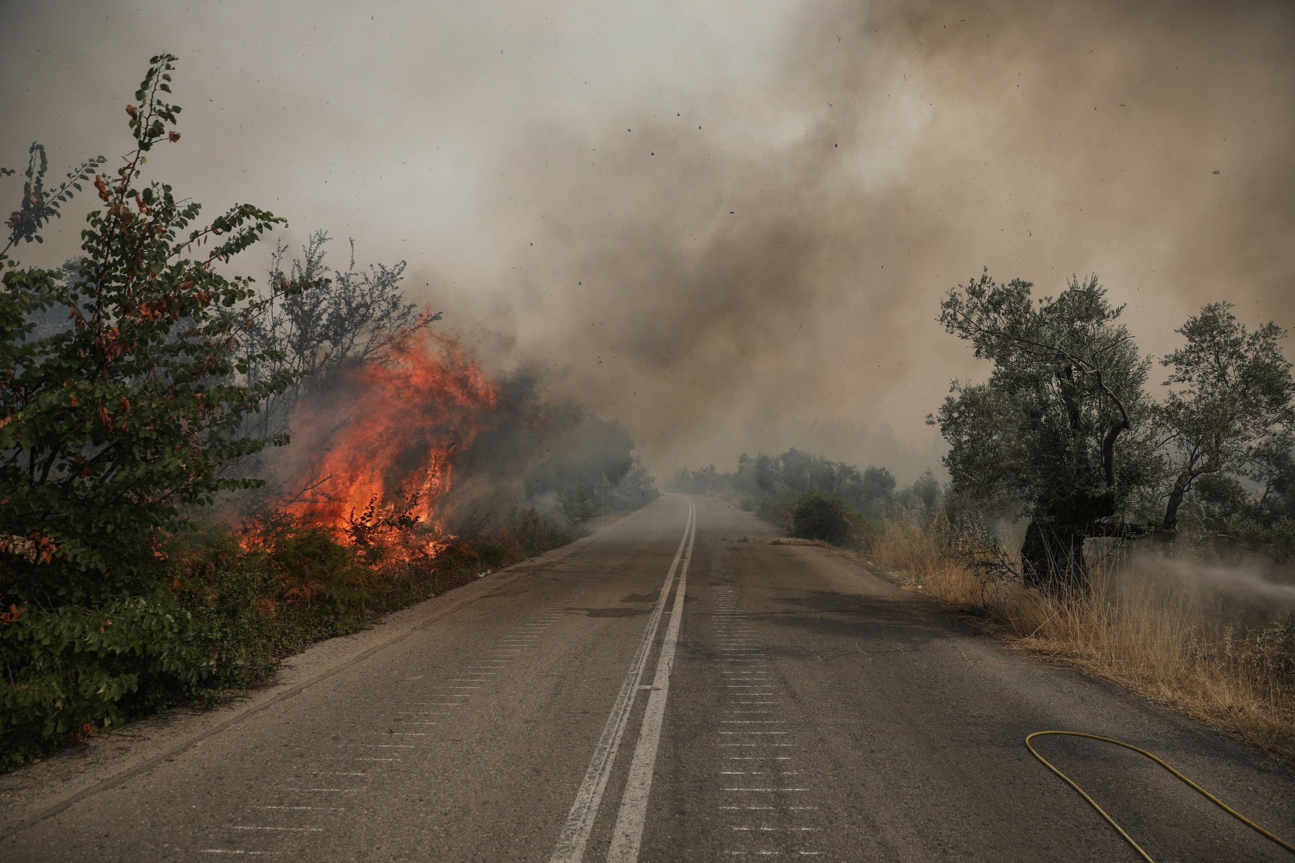 Βιβλική καταστροφή στην Εύβοια – Εκκενώνονται άλλοι 8 οικισμοί – Πληθαίνουν τα μέτωπα (pics&vids)