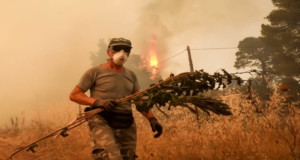 Δραματική εκτίμηση Λέκκα – “Σε 10 χρόνια θα μπορέσουν να ανακάμψουν οι καμένες περιοχές” (vid)