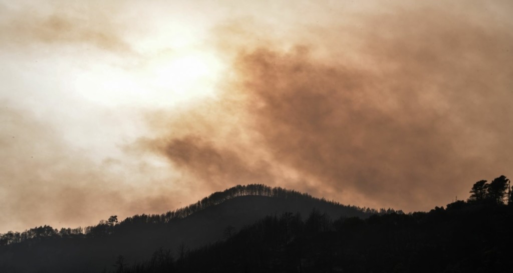 Φωτιά στα Άσπρα Σπίτια Διστόμου – Ισχυροί άνεμοι στην περιοχή (vid)