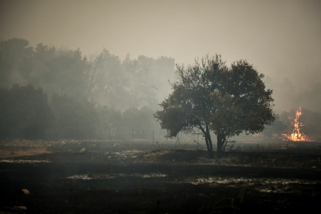 Προς το πεδίο βολής των Μεγάρων κατευθύνεται η φωτιά στα Βίλια – Μάχη για να αποφευχθούν τα χειρότερα