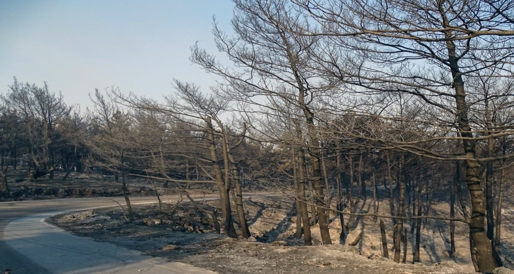 Δεν υπάρχει ενεργό μέτωπο στη Ρόδο – Έχει περιοριστεί σε μια χαράδρα η φωτιά στην Κω
