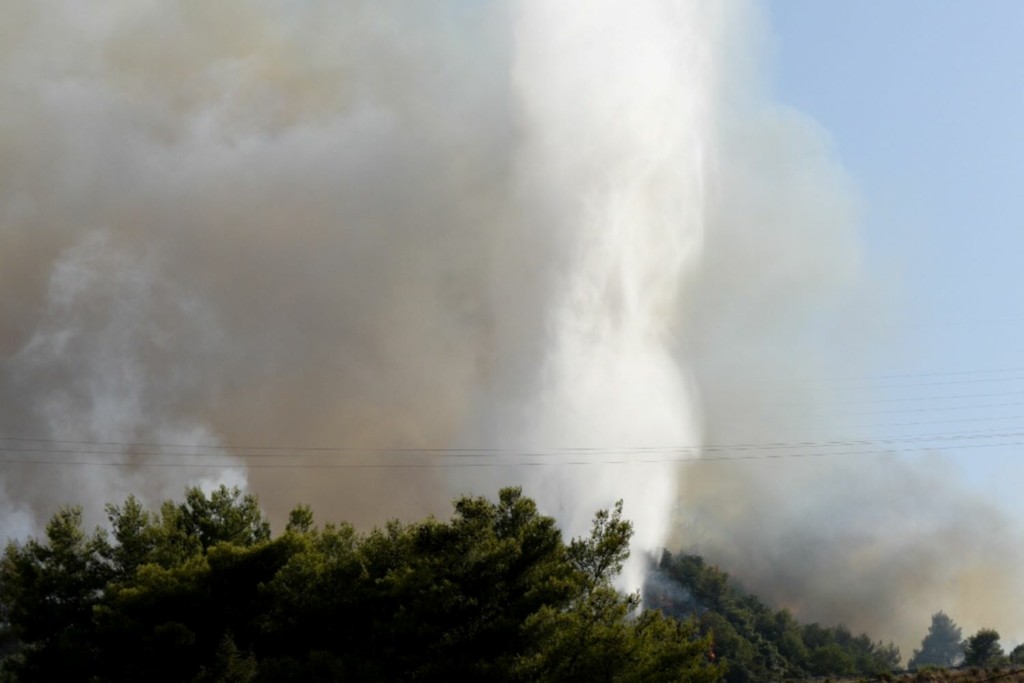 Απαγόρευση κυκλοφορίας στα δάση του Έβρου