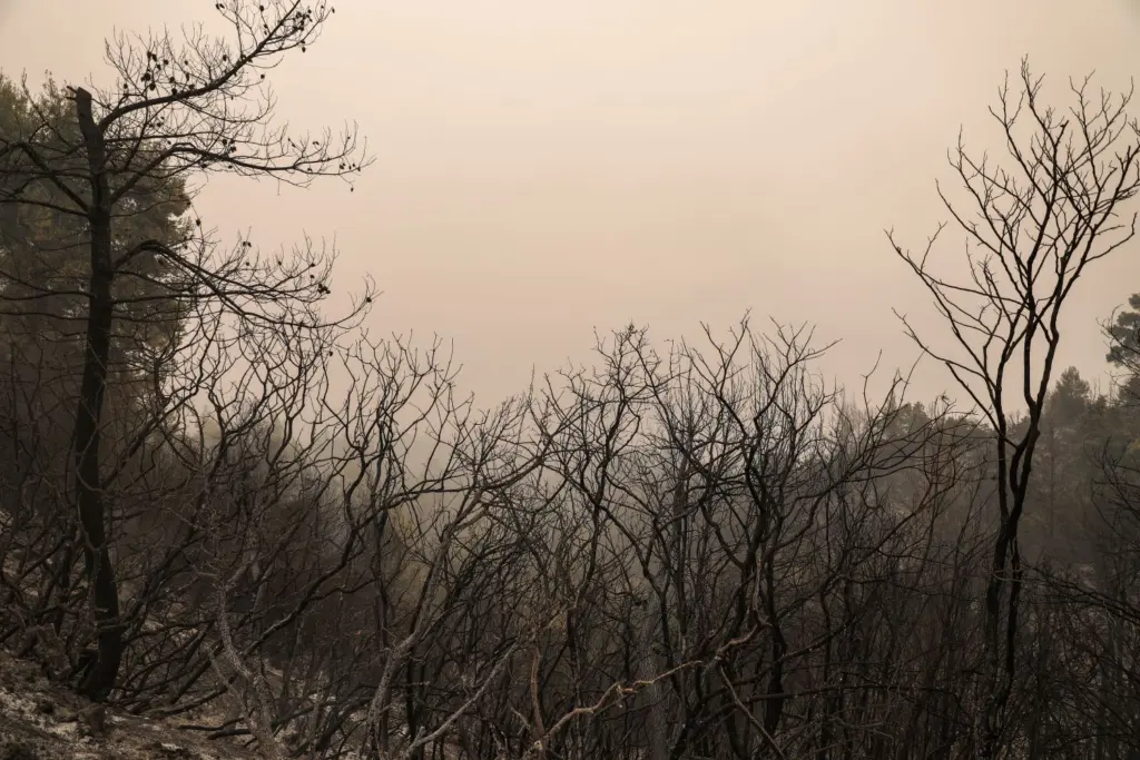 Χωρίς ρεύμα πάνω από 17.000 νοικοκυριά σε Αττική και Εύβοια