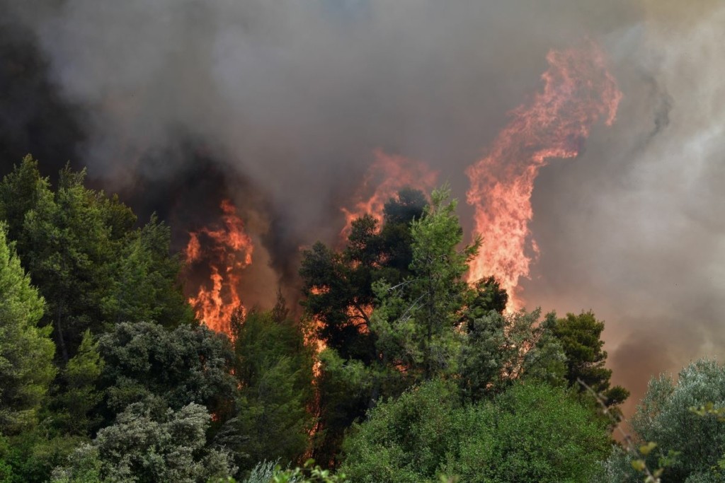 Υπό έλεγχο η φωτιά στο Ωραιό Ξάνθης