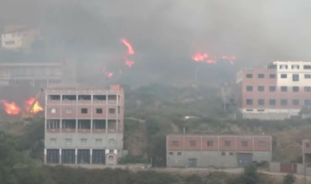 Τουλάχιστον 65 νεκροί στην Αλγερία από τις καταστροφικές φωτιές (vids)