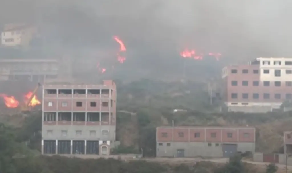Τουλάχιστον 65 νεκροί στην Αλγερία από τις καταστροφικές φωτιές (vids)