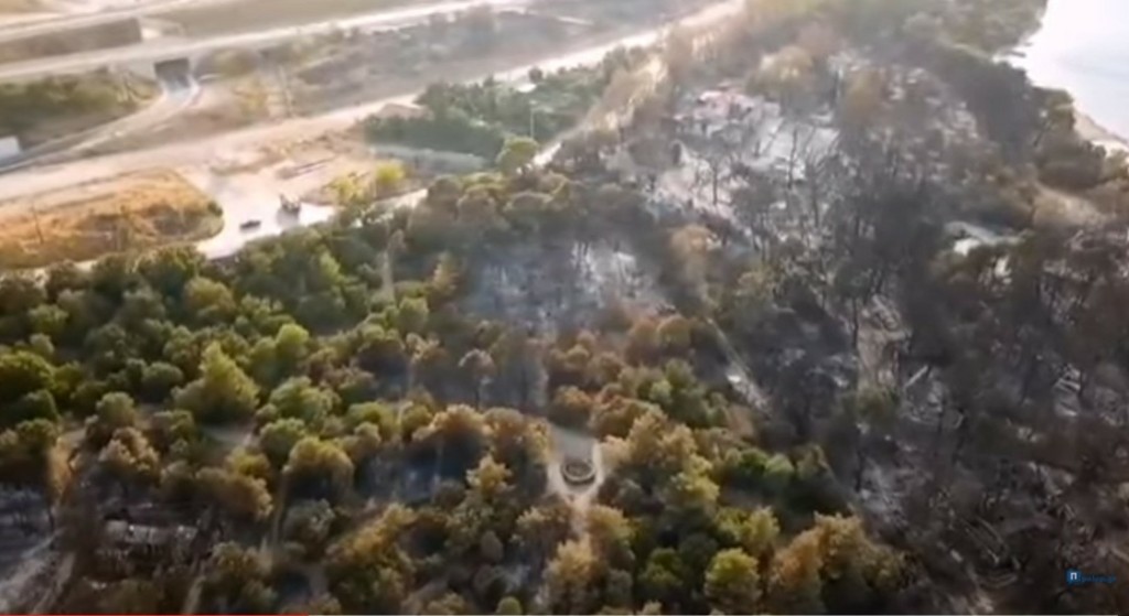 Σφίγγεται η καρδιά στη θέα του καμμένου τοπίου από τη φωτιά στην Αχαΐα – Συγκλονιστικές εικόνες από drone (vids)