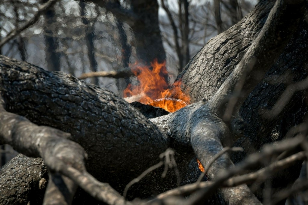 Απαγόρευση κυκλοφορίας σε δάση, δρυμούς και περιοχές Natura μπροστά στον κίνδυνο νέας φωτιάς