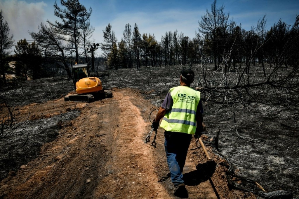 Υπό πλήρη έλεγχο η φωτιά στην Κασσάνδρα Χαλκιδικής – Σε επιφυλακή οι αρχές για τυχόν αναζωπυρώσεις