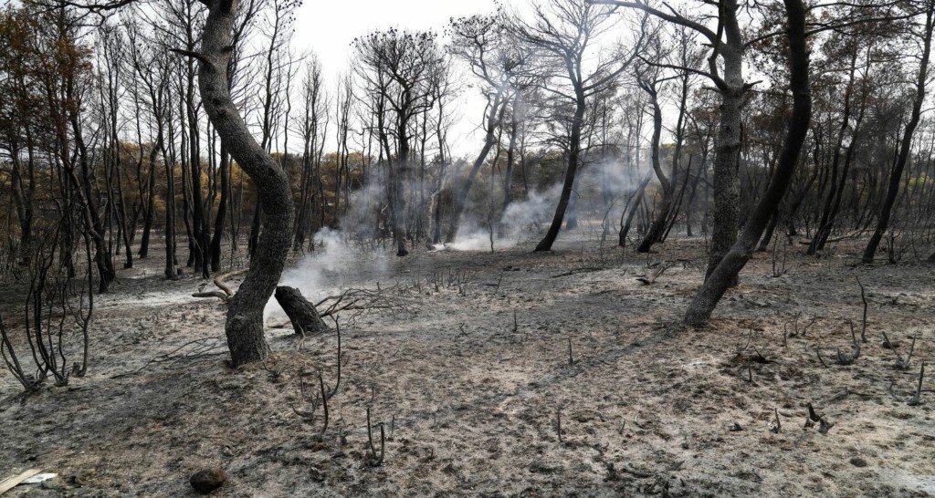 Πότε είναι η πρεμιέρα των αποζημιώσεων για τους πυρόπληκτους (vid)