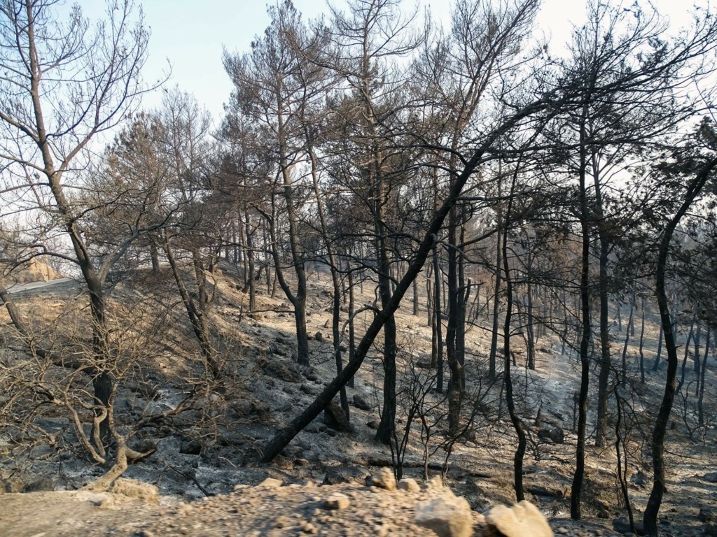 Καταγράφουν τις ζημιές μετά την μεγάλη φωτιά στη Ρόδο – Κάηκαν 10.000 στρέμματα δάσους