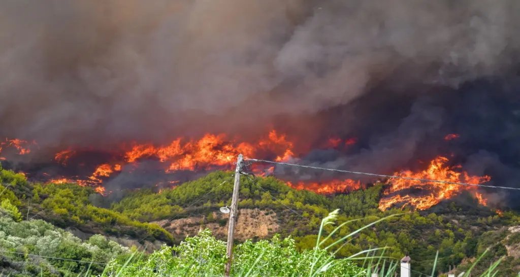 Έτοιμη να συνδράμει και η Γερμανία στις πυρκαγιές που πλήττουν την Ελλάδα – Ποιες δυνάμεις αποφάσισε να στείλει