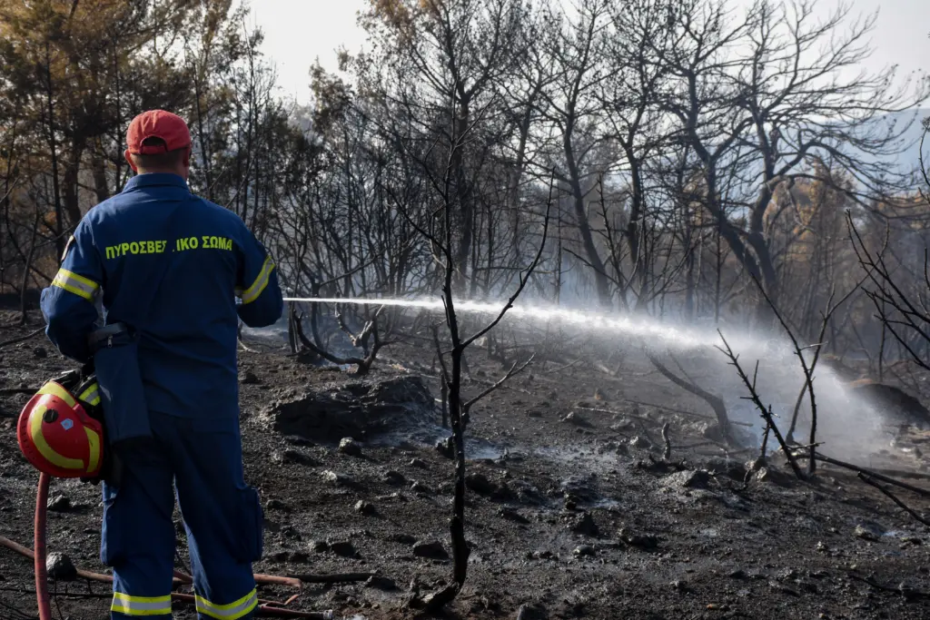 Συνεχίζει να καίει η φωτιά στον Άγιο Θωμά Ηρακλείου – Δεκάδες στρέμματα στάχτη (vids)