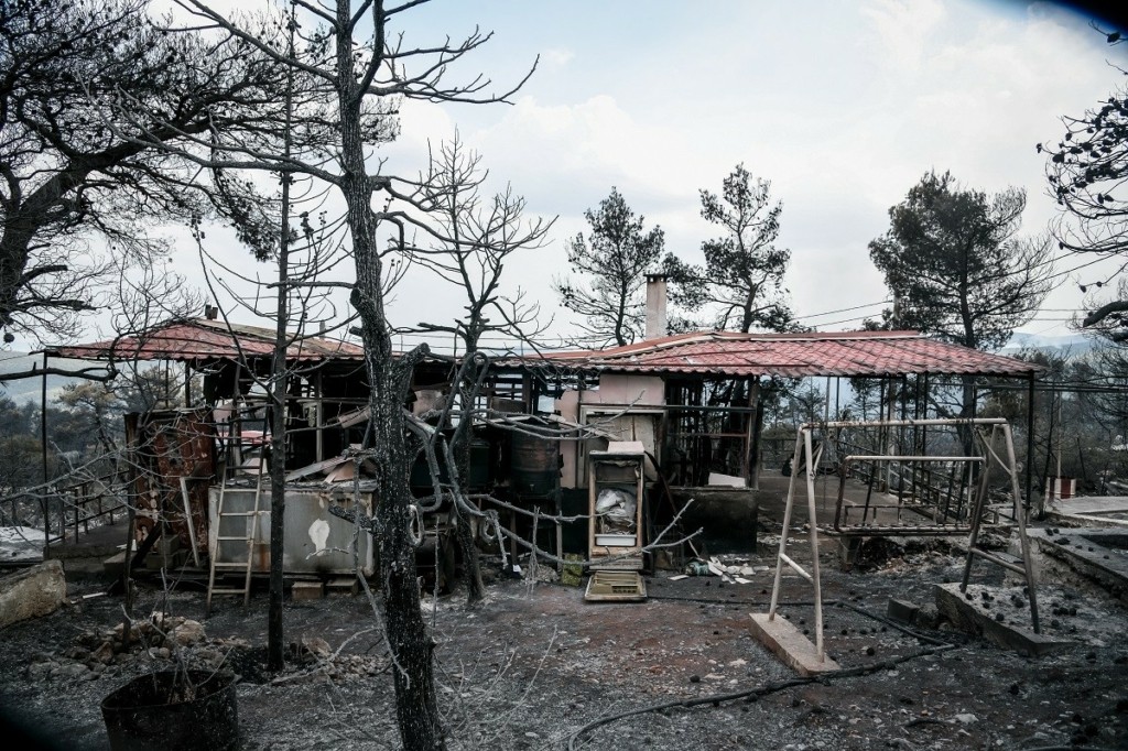 Ο δεκάλογος της WWF Ελλάς για την επομένη ημέρα μετά τις πυρκαγιές