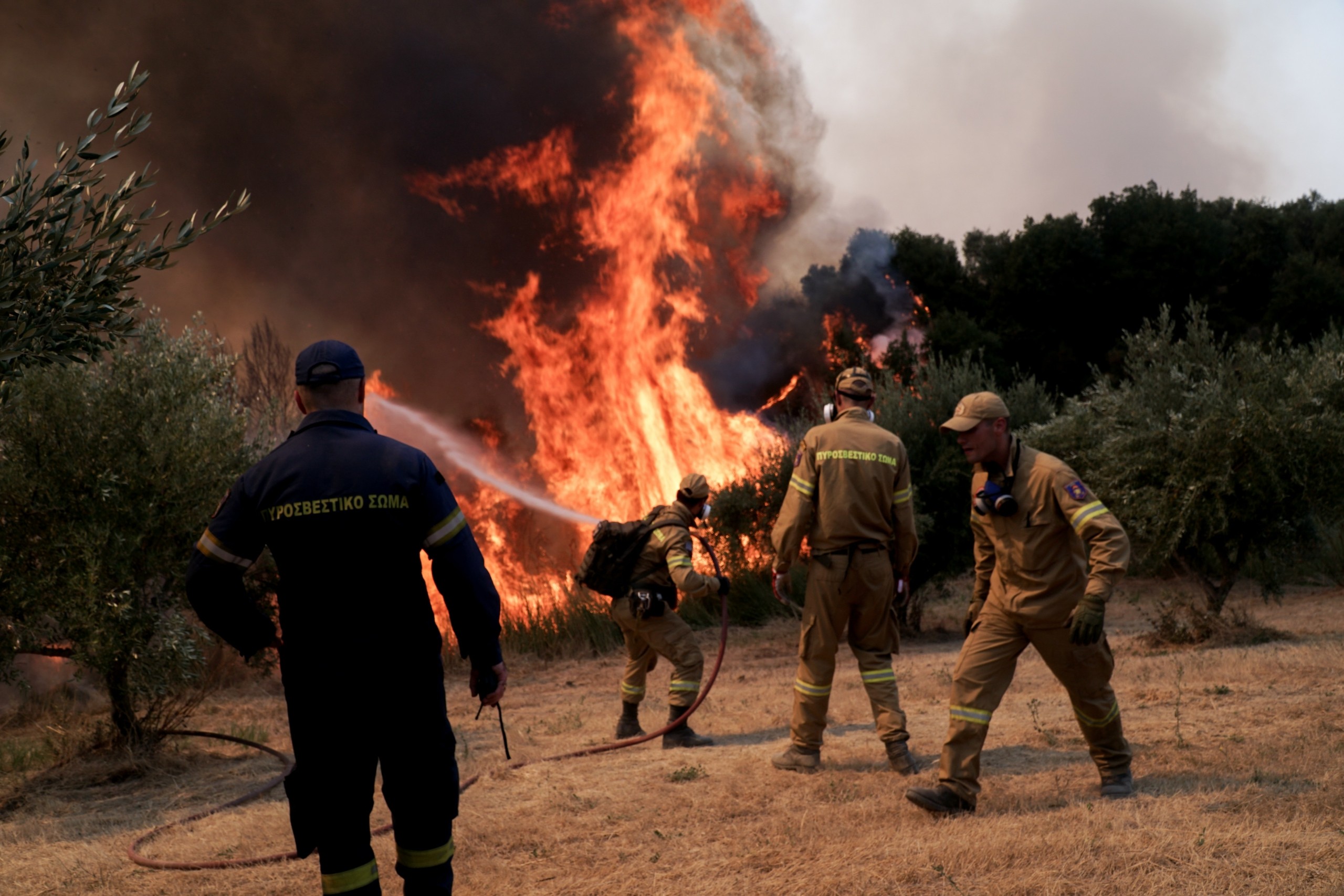 Ολονύχτια μάχη με τις φλόγες στην Ηλεία – Έχουν εκκενωθεί 30 χωριά (pics)